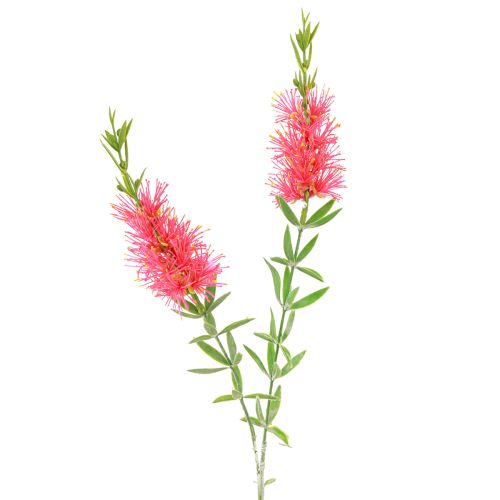 Floristik24 Fleurs Artificielles Nettoyants Cylindre Carmin Rouge 70cm 3pcs