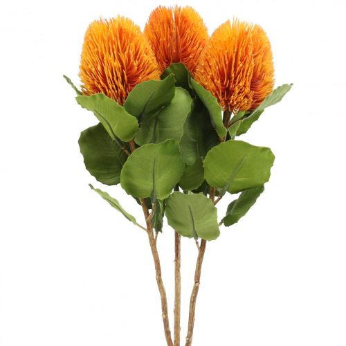 Floristik24 Fleurs artificielles, Banksia, Proteaceae Orange L58cm H6cm 3 pcs
