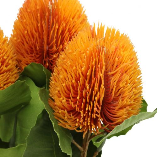 Article Fleurs artificielles, Banksia, Proteaceae Orange L58cm H6cm 3pcs