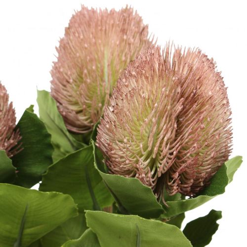 Floristik24 Banksia Proteaceae Artificiel Blanc-Violet L58cm H6cm 3pcs