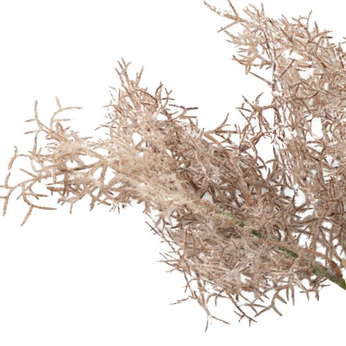 Article Décoration fleurs artificielles, branche de corail, branches décoratives blanc marron 40cm 4pcs