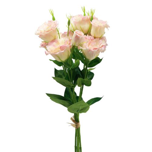 Floristik24 Fleurs artificielles Eustoma Lisianthus rose crème 52cm 5pcs