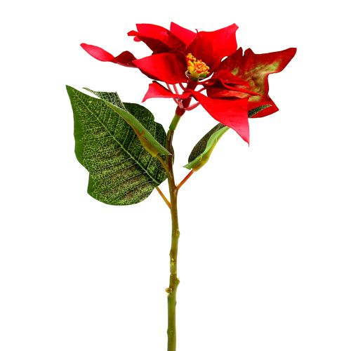 Floristik24 Fleurs artificielles poinsettia rouge L73cm