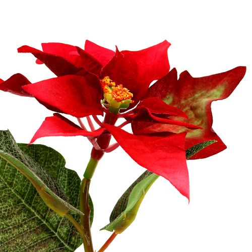 Floristik24 Fleurs artificielles poinsettia rouge L73cm