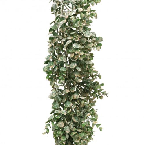 Floristik24 Guirlande de buis artificiel vert blanc lavé L148cm