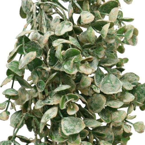 Floristik24 Guirlande de buis artificiel vert blanc lavé L148cm