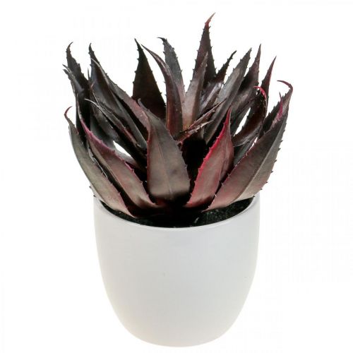 Floristik24 Plante d&#39;Aloe Vera Artificielle en Pot Plante Décorative Verte H20cm