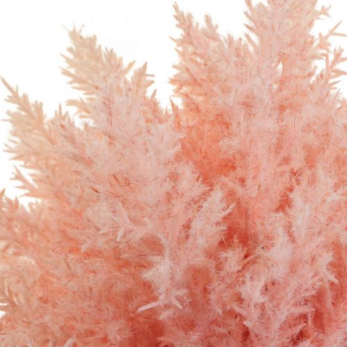 Article Plante Artificielle Astilbe Décoration Branches Artificielles Rose H38cm 5 Pcs