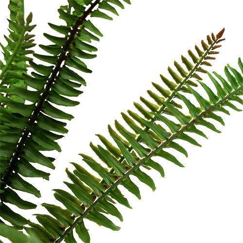 Floristik24 Fougère artificielle fougère vert foncé 45cm