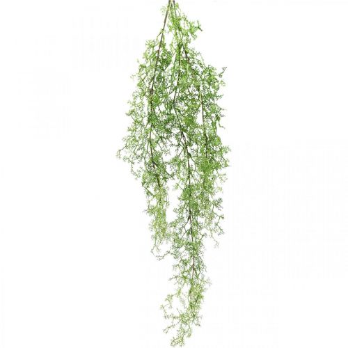 Floristik24 Plante artificielle asperge de printemps branche décorative connectique vert H108cm