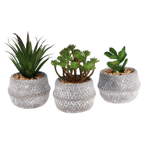 Plantes Artificielles Plantes Succulentes Plante Verte Artificielle 11-14cm 3pcs