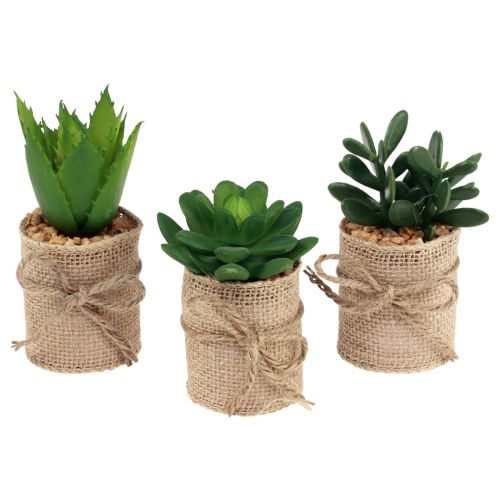 Floristik24 Plantes artificielles succulentes décoratives artificielles 9,5-12,5 cm 3pcs