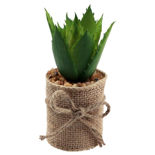 Floristik24 Plantes artificielles succulentes décoratives artificielles 9,5-12,5 cm 3pcs