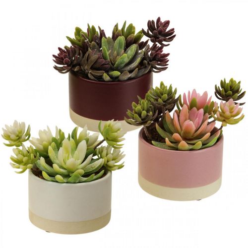 Article Plantes artificielles en pots succulentes artificielles H13cm 3pcs