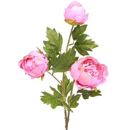 Floristik24 Roses artificielles Pivoines artificielles en rose L80cm 2pcs