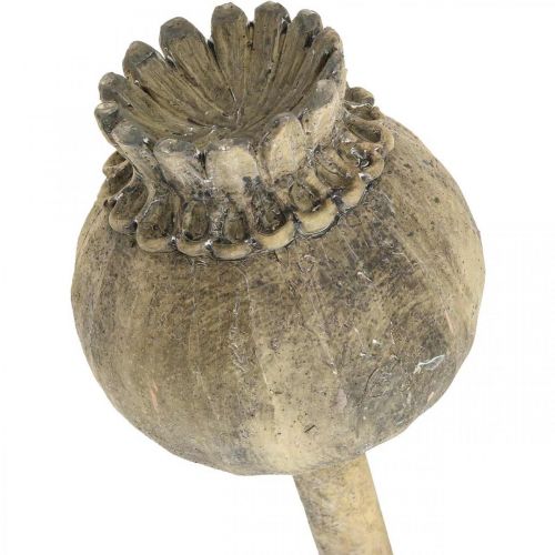 Décoration pierre artificielle coquelicot décoration antique marron Ø13cm L37.5cm