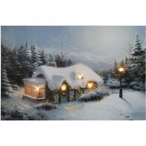 Floristik24 Image LED Paysage d&#39;hiver de Noël avec maison LED murale 58x38cm