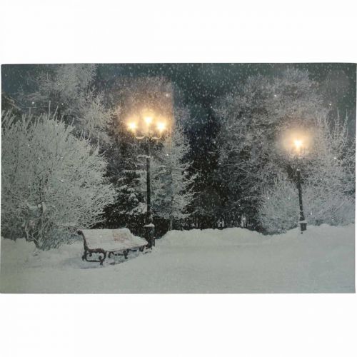 Floristik24 Image LED Paysage d&#39;hiver de Noël avec banc de parc LED murale 58x38cm