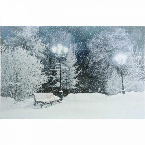Floristik24 Image LED Paysage d&#39;hiver de Noël avec banc de parc LED murale 58x38cm