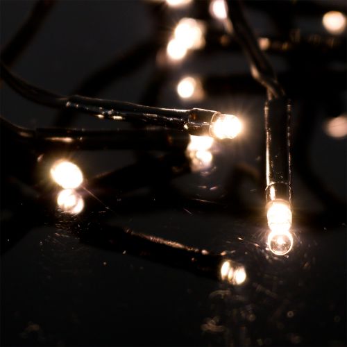 Article Guirlande lumineuse LED pour extérieur 288er 2,4m noir/blanc chaud