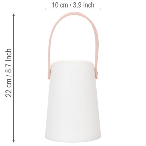 Lampe avec poignée, lampe LED portable pour usage intérieur et extérieur, 22 cm, lot de 3 | Floristik24.be