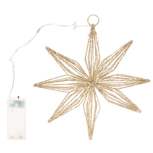 Étoile décorative LED en fil de fer à suspendre, 20 LED, blanc chaud, intérieur, 22 cm | Floristik24.be