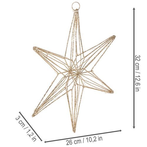 Étoile décorative à LED en fil de fer à suspendre, pour usage intérieur, 32 cm | Floristik24.be