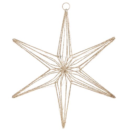 Étoile décorative à LED en fil de fer, à suspendre pour l'intérieur, 40 LED, blanc chaud, 42 cm