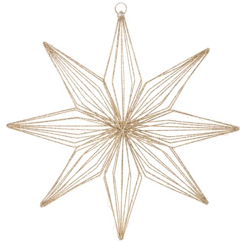 Étoile décorative LED en fil de fer à suspendre, pour usage intérieur, fonctionne sur piles, 51 cm