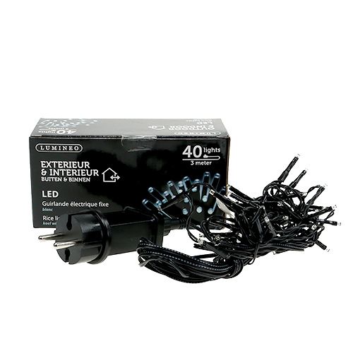Article Guirlande lumineuse LED riz 40s 3m pour extérieur blanc froid