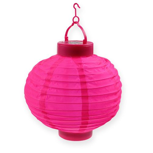 Floristik24 Lampion LED avec solaire 20cm rose