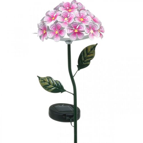Floristik24 Fleur solaire, décoration de jardin LED, chrysanthème décoratif rose L55cm Ø15cm