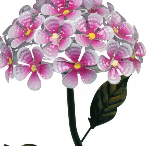 Floristik24 Fleur solaire, décoration de jardin LED, chrysanthème décoratif rose L55cm Ø15cm