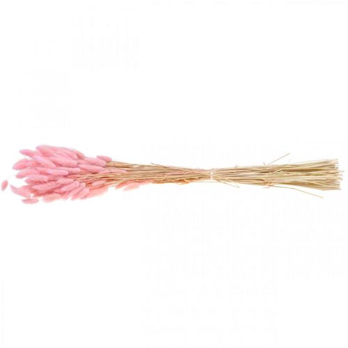 Floristik24 Lagurus herbe de queue de lapin séchée rose clair 65-70cm 100g