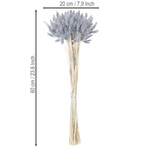 Article Lagurus séché (queue de lièvre) gris pour bouquets de fleurs séchées 60 cm 75 g