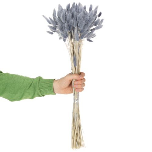 Article Lagurus séché (queue de lièvre) gris pour bouquets de fleurs séchées 60 cm 75 g
