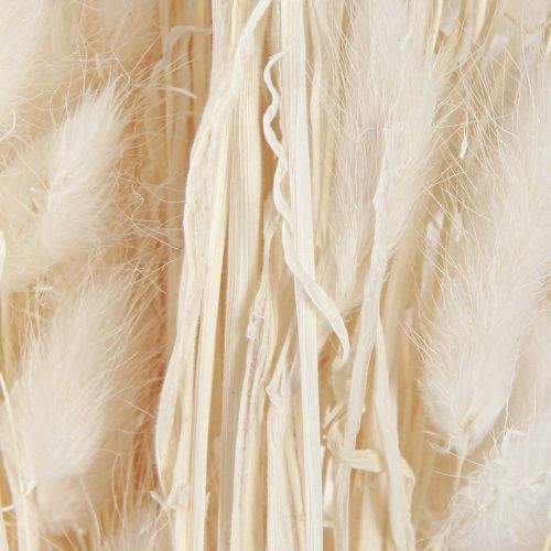 Article Fleurs séchées Lagure ovale Gros-minet Crème 55-70cm 100g