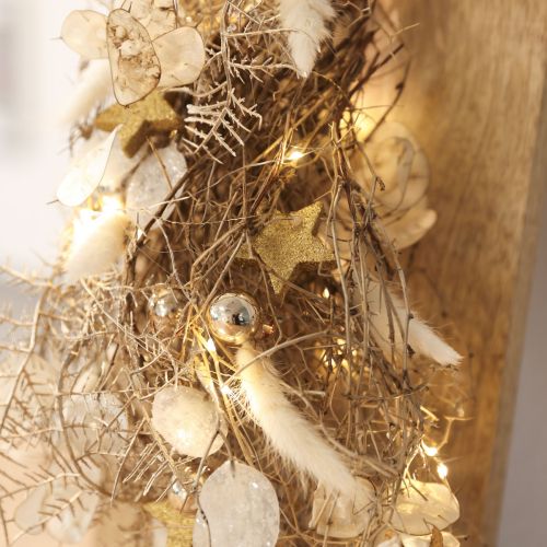 Fleurs séchées Lagure ovale Gros-minet Crème 55-70cm 100g | Floristik24.be