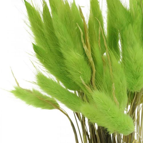 Article Velours vert d&#39;herbe, lagurus, décoration sèche, foin d&#39;odeur séché L18-50cm 25g