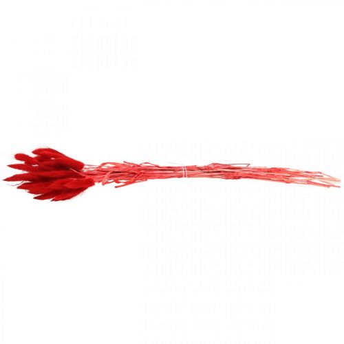 Article Herbe décorative rouge, lagurus, herbe de velours, fleuristerie sèche L30–50cm 20g