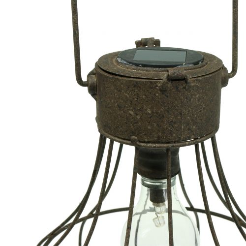 Floristik24 Lampe déco solaire Ø23,5cm H24cm