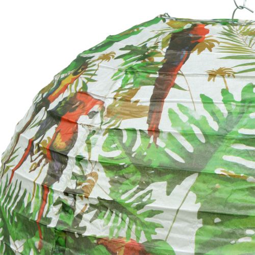 Article Lanterne en papier avec motif jungle Ø40cm