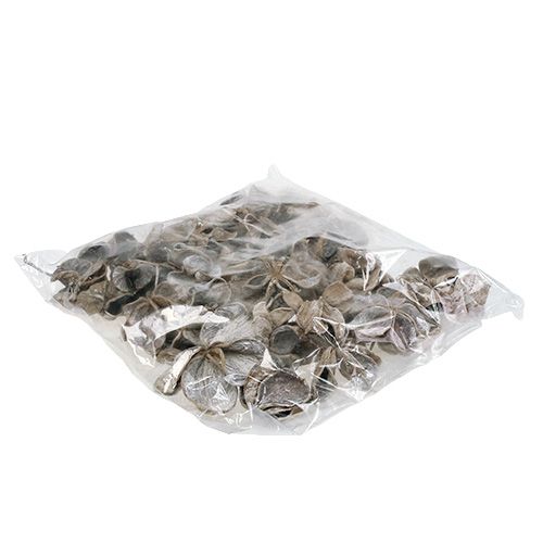 Article Fleurs de lotus séchées Sterculia Blanchies 6-12cm 50 pcs