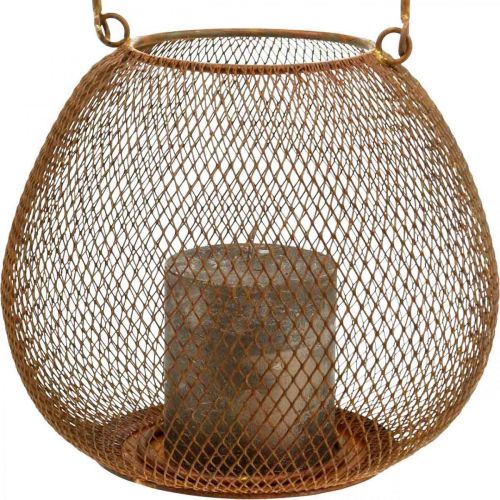 Floristik24 Lanterne métal avec grille bougeoir rouille Ø20cm H17cm