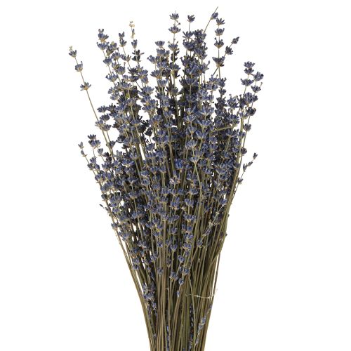 Floristik24 Fleurs séchées de lavande Décoration naturelle 100g 40cm 100g × 2pcs
