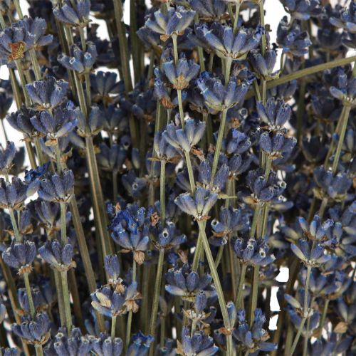 Article Fleurs séchées de lavande Décoration naturelle 100g 40cm 100g × 2pcs