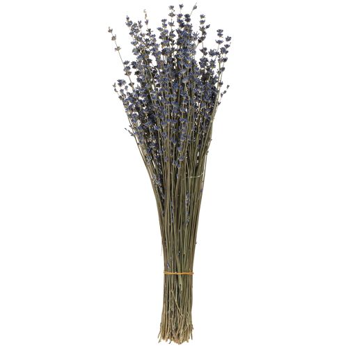 Article Fleurs séchées de lavande Décoration naturelle 100g 40cm 100g × 2pcs