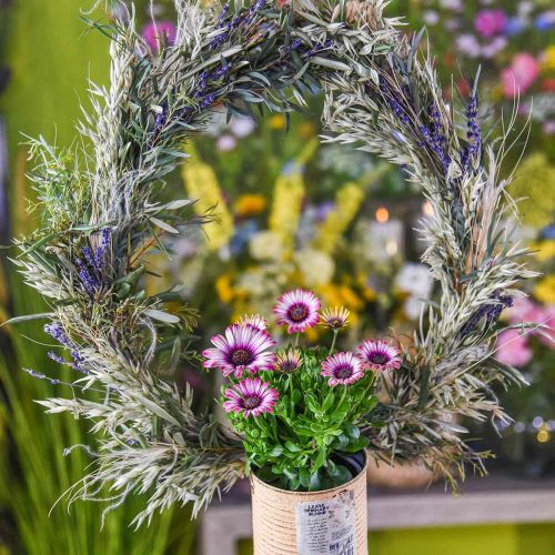 Article Bouquet de lavande séchée fleur séchée bleu 25cm 75g