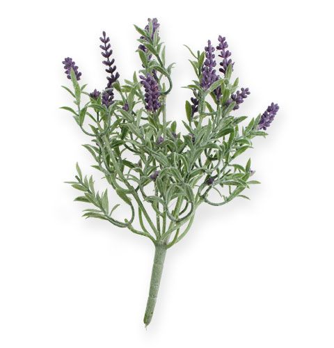 Floristik24 Branche de lavande décorative 25 cm