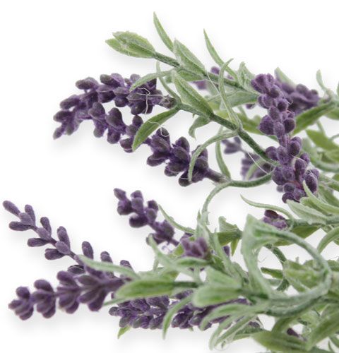 Floristik24 Branche de lavande décorative 25 cm